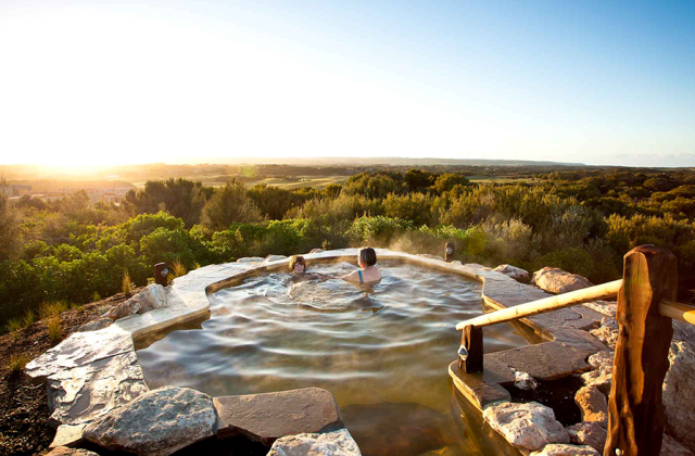 [땡스투어] 퍼핑빌리 증기 기관차 +  모닝톤 별밤 온천 투어
