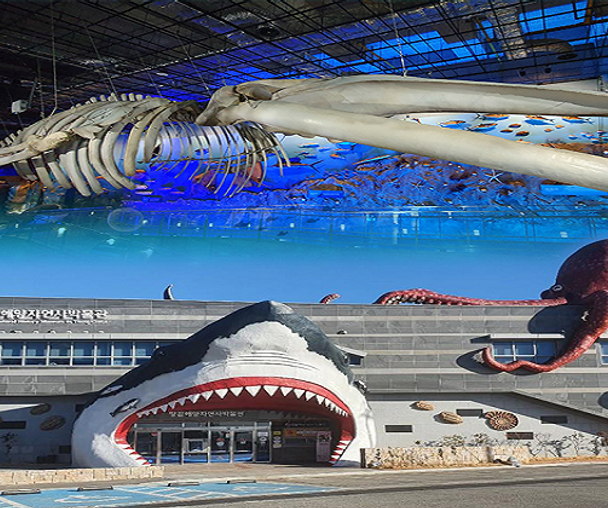 activity_detail_image