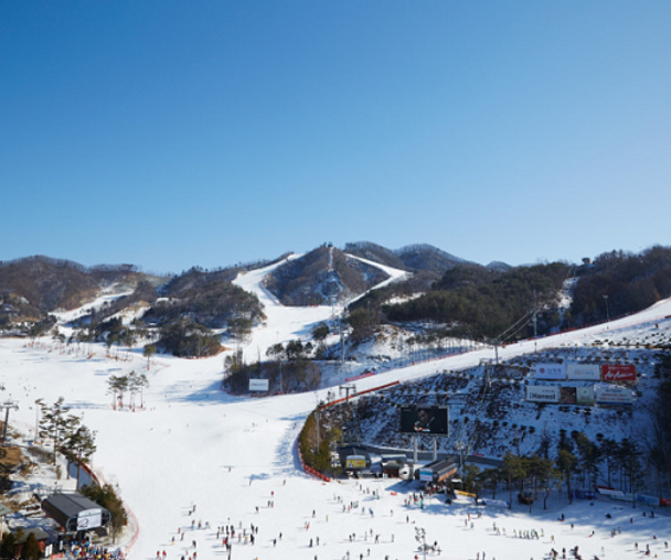 activity_detail_image