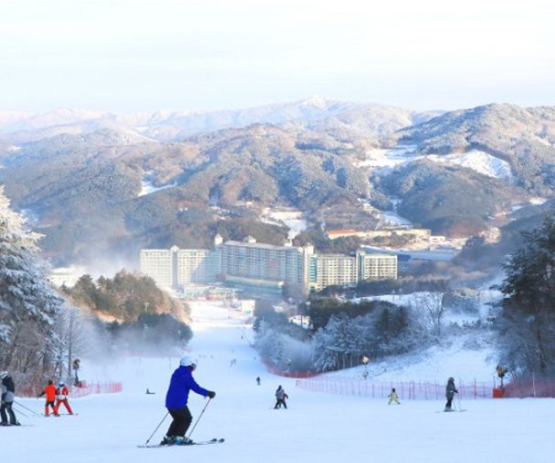 activity_detail_image