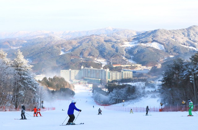 강원 횡성 웰리힐리파크 25/26시즌 장비 & 의류렌탈 & 리프트권 & 눈썰매 이용권