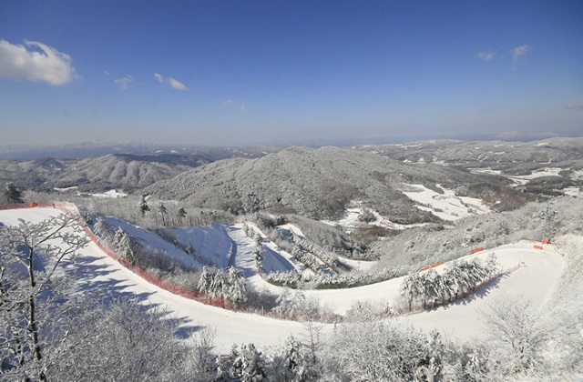 강원 횡성 웰리힐리파크 25/26시즌 장비 & 의류렌탈 & 리프트권 & 눈썰매 이용권
