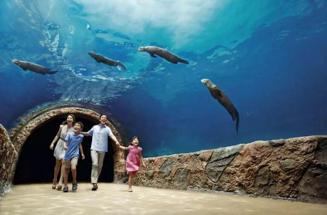 출국일까지 즐기는 싱가포르 체크아웃 투어 (창이공항 샌딩)