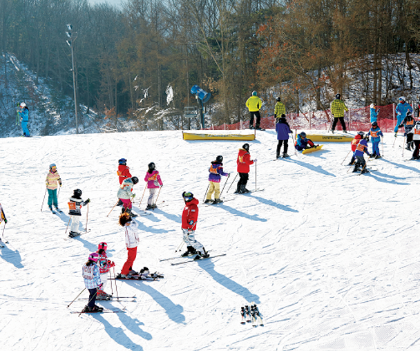 activity_detail_image