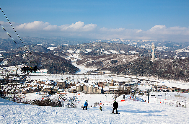 평창 알펜시아리조트 25/26 스키 시즌권