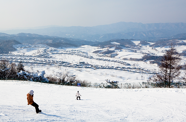 activity_detail_image