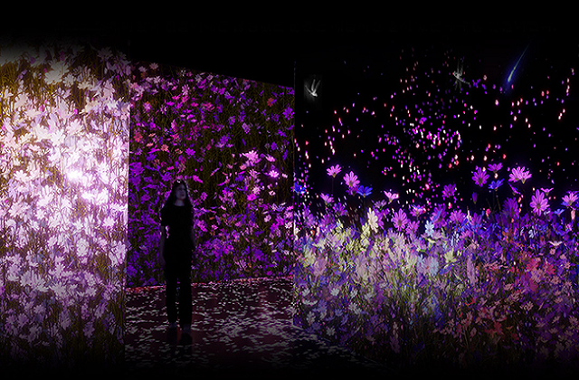 강릉 아르떼뮤지엄 입장권