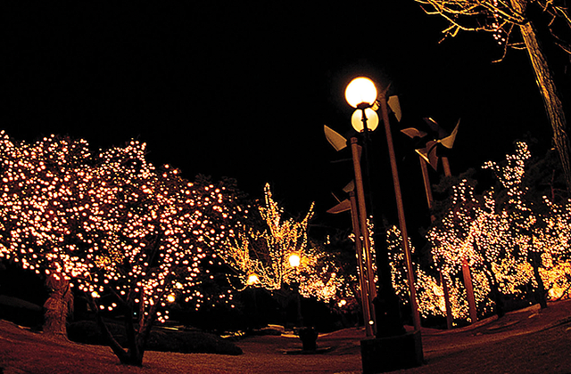 activity_detail_image