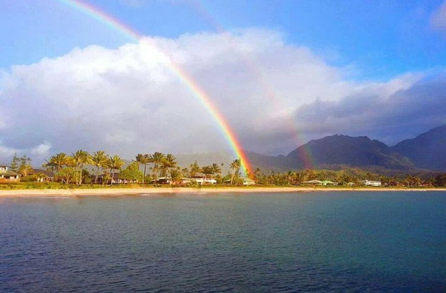 하와이 오아후 랜드마크 일일 투어