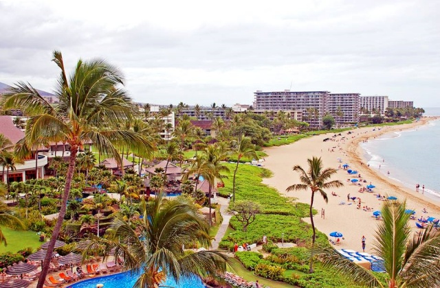 하와이 오아후 랜드마크 일일 투어