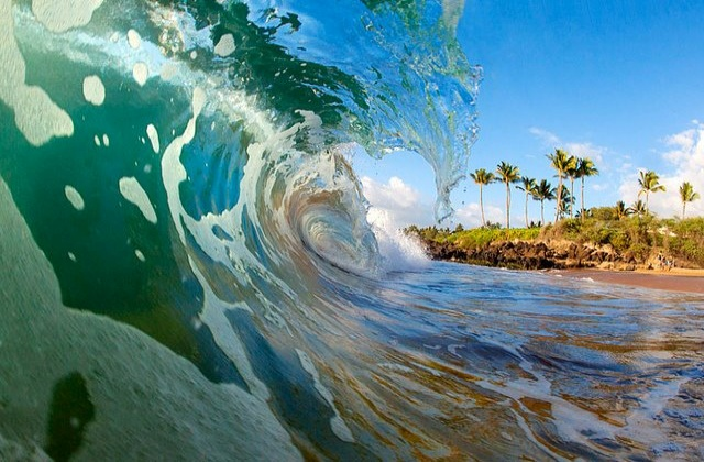 하와이 오아후 랜드마크 일일 투어