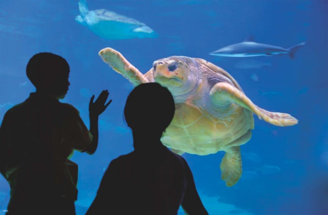 Philadelphia CityPASS®