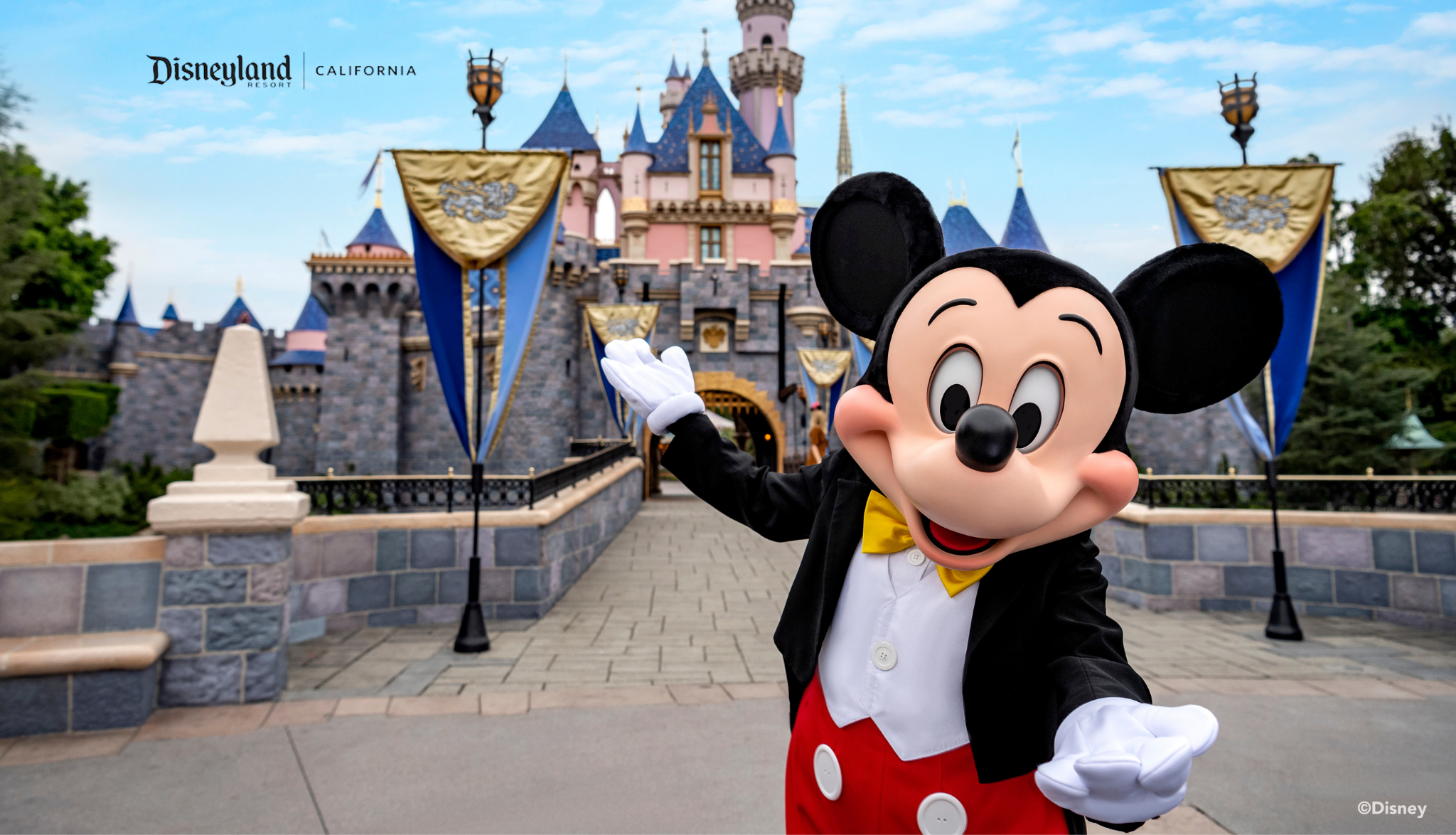 La ディズニーランド ディズニー カリフォルニア アドベンチャー パーク 1 5日券 ワグ Waug