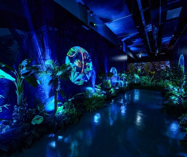 activity_detail_image