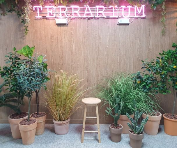 activity_detail_image