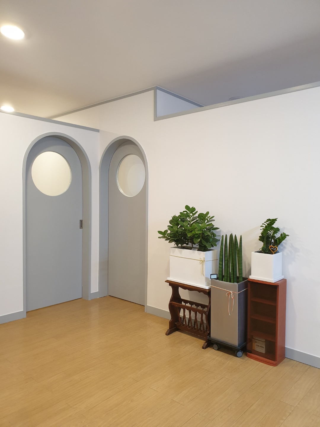 서울 강남 뷰티라인업