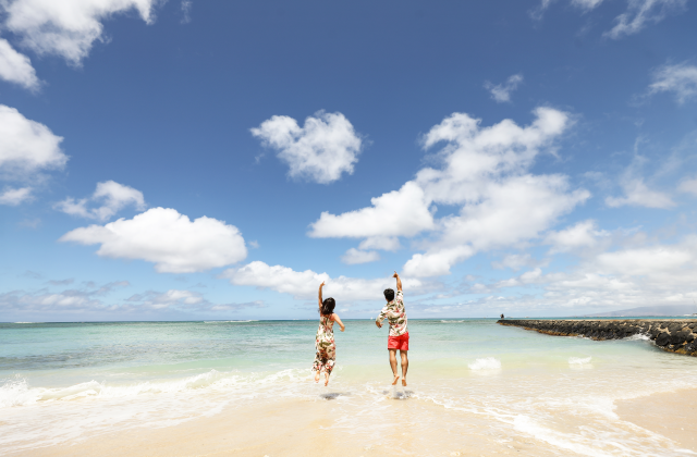 하와이 와이키키 스냅 촬영 투어