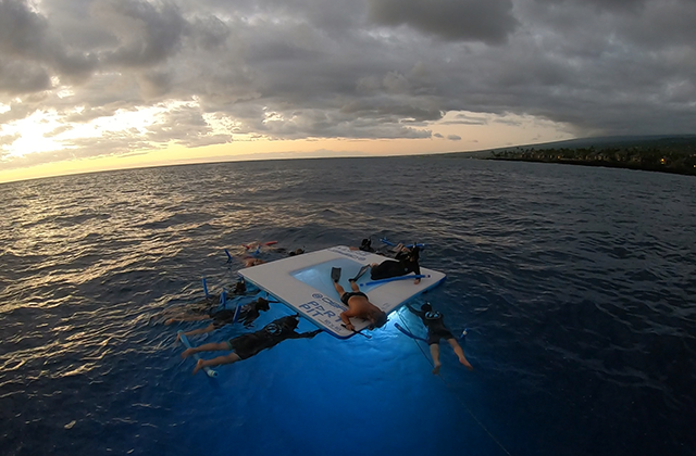 하와이 빅아일랜드 선셋 만타레이 스노클링 투어
