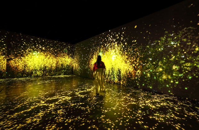 제주 아르떼뮤지엄 입장권