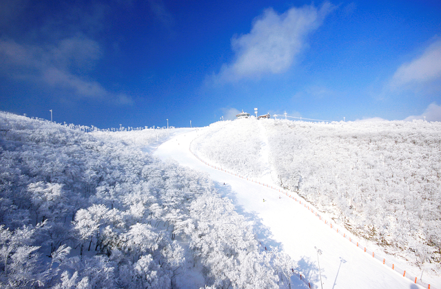 강원 정선 25/26 하이원리조트 스프링 시즌패스
