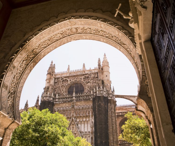 activity_detail_image