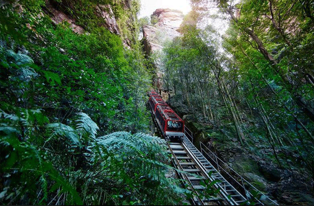 시드니 블루마운틴 시닉월드 무제한 패스
