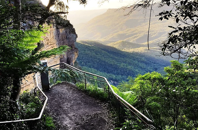 시드니 블루마운틴 시닉월드 무제한 패스
