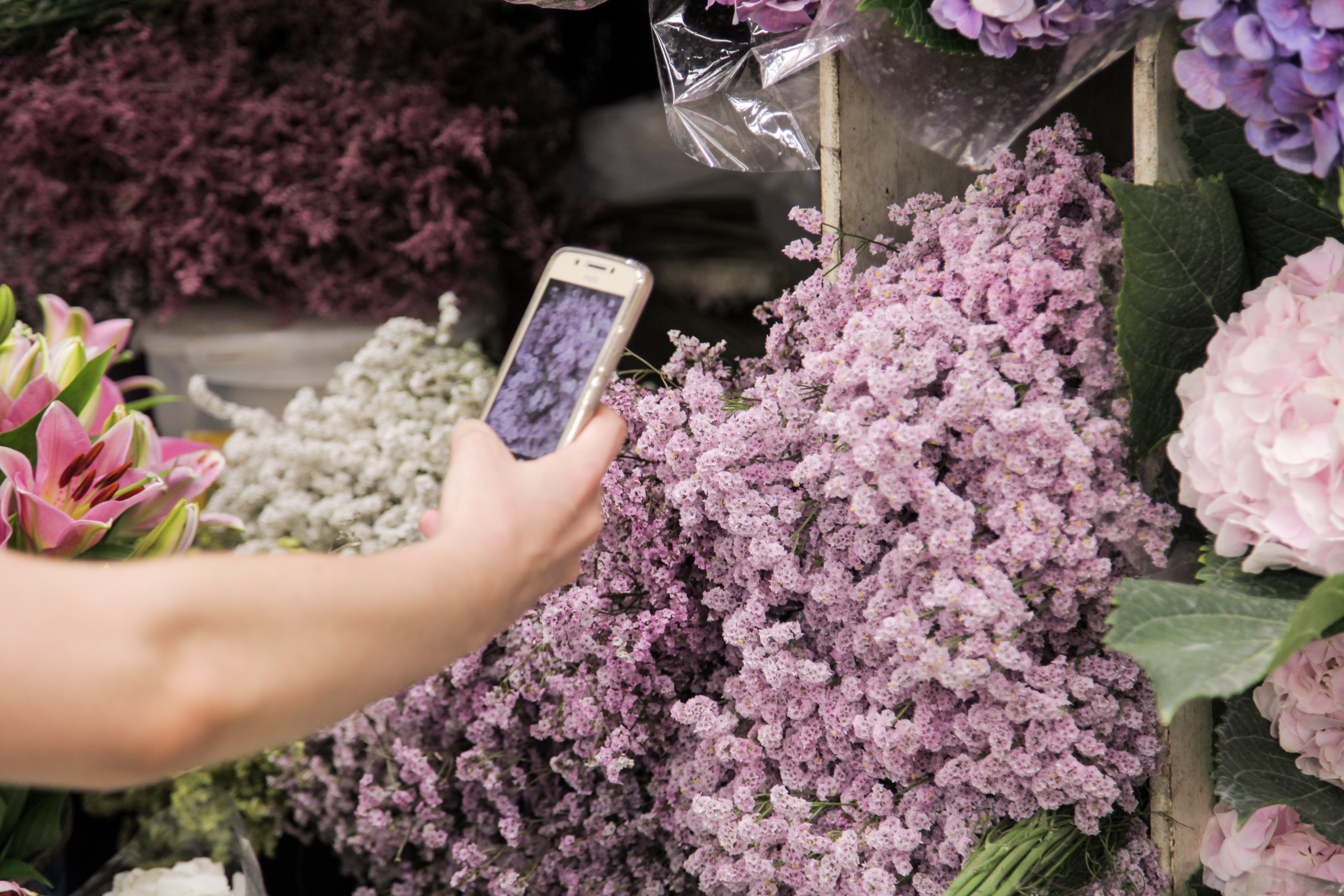 Yangjae Flower Market Tour & Floral Design Class