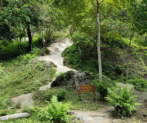 activity_detail_image