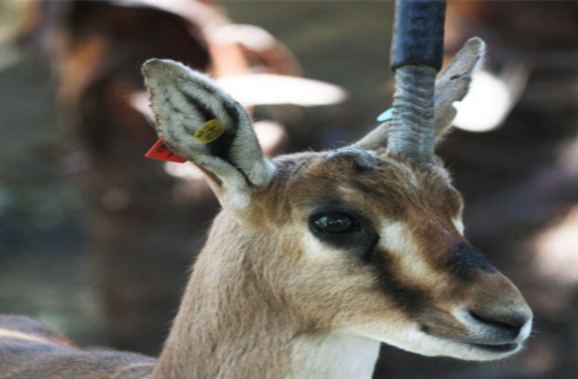 activity_detail_image
