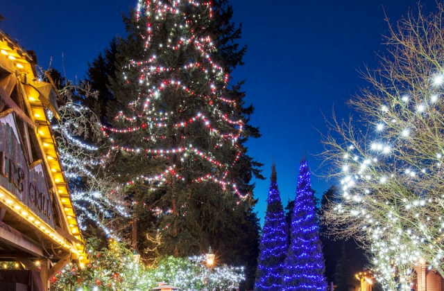 밴쿠버 캐필라노 현수교 서스펜션 브릿지 파크 입장권
