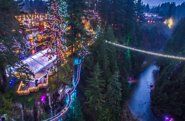 밴쿠버 캐필라노 현수교 서스펜션 브릿지 파크 입장권