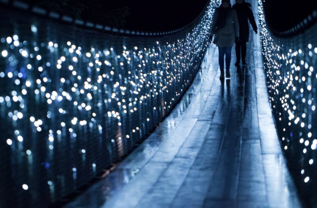 밴쿠버 캐필라노 현수교 서스펜션 브릿지 파크 입장권