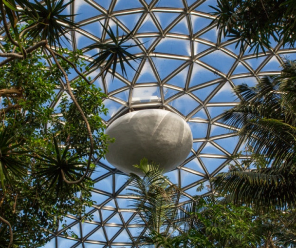 activity_detail_image