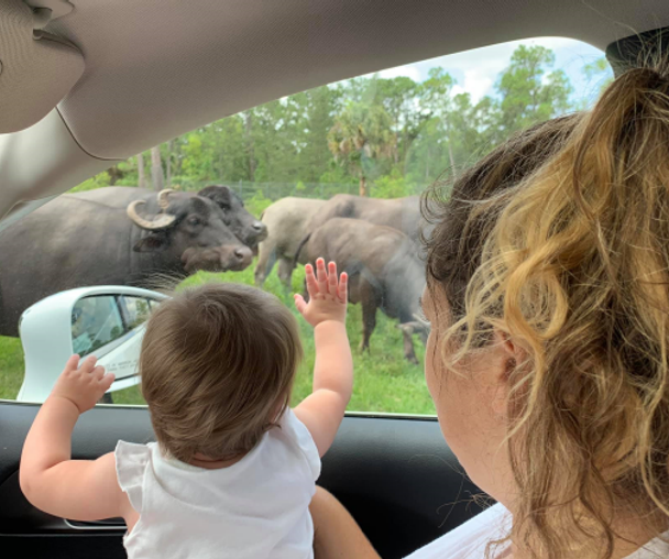 activity_detail_image