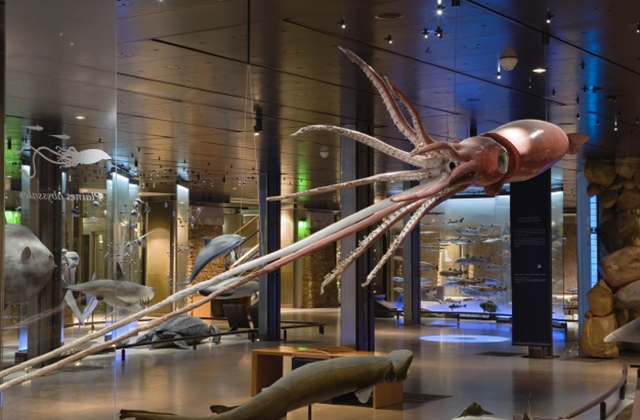 activity_detail_image