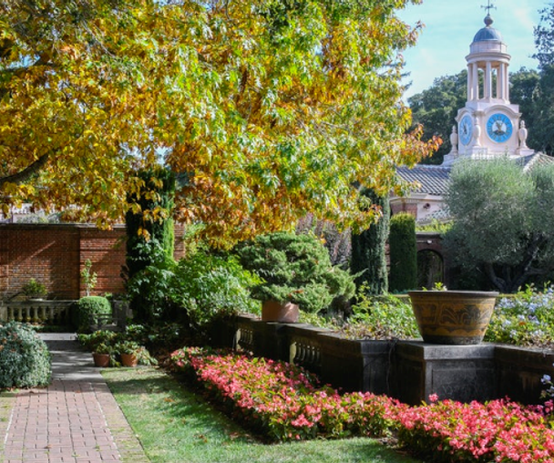 activity_detail_image