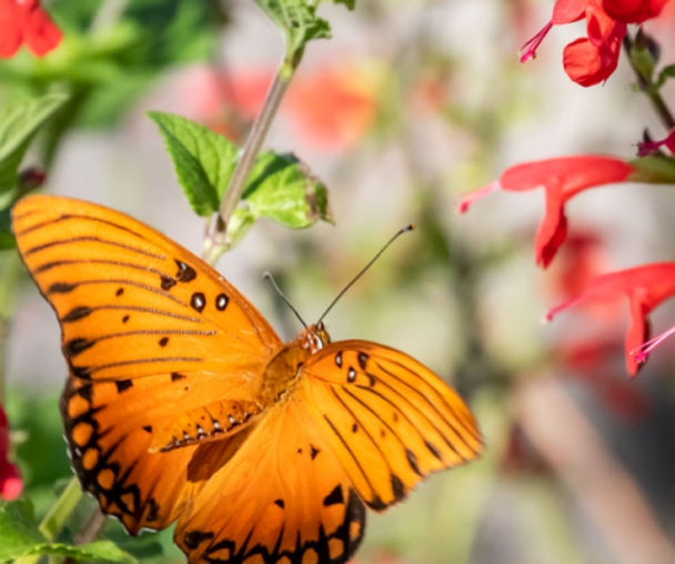 activity_detail_image