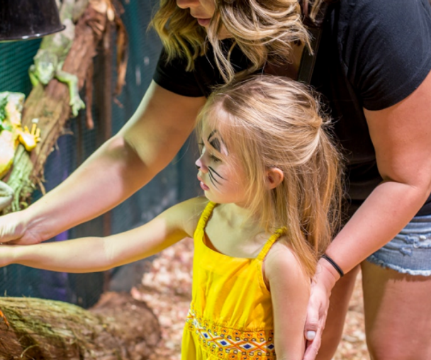 activity_detail_image