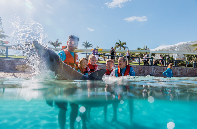 골드코스트 씨월드® 입장권