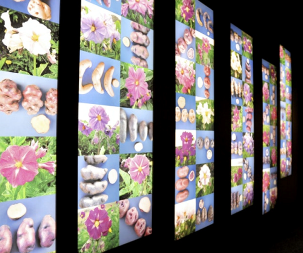 activity_detail_image