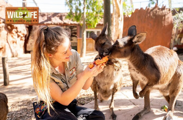 Ultimate Sydney Attraction Pass (Choose 2/3/4 Attractions)