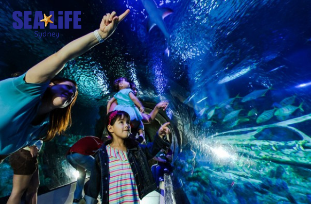 Ultimate Sydney Attraction Pass (Choose 2/3/4 Attractions)