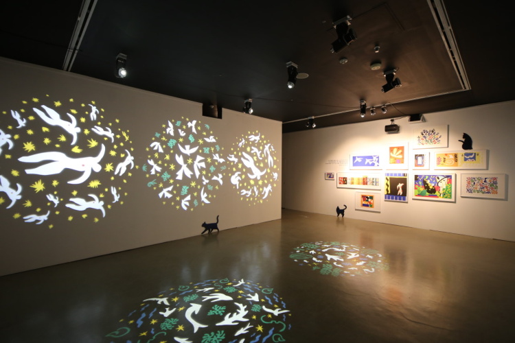 강릉 그대 나의 뮤즈 반고흐 to 마티스 입장권