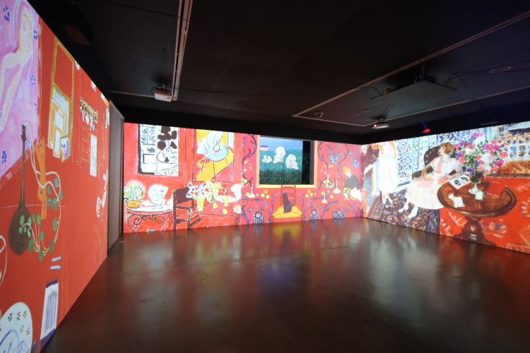 강릉 그대 나의 뮤즈 반고흐 to 마티스 입장권