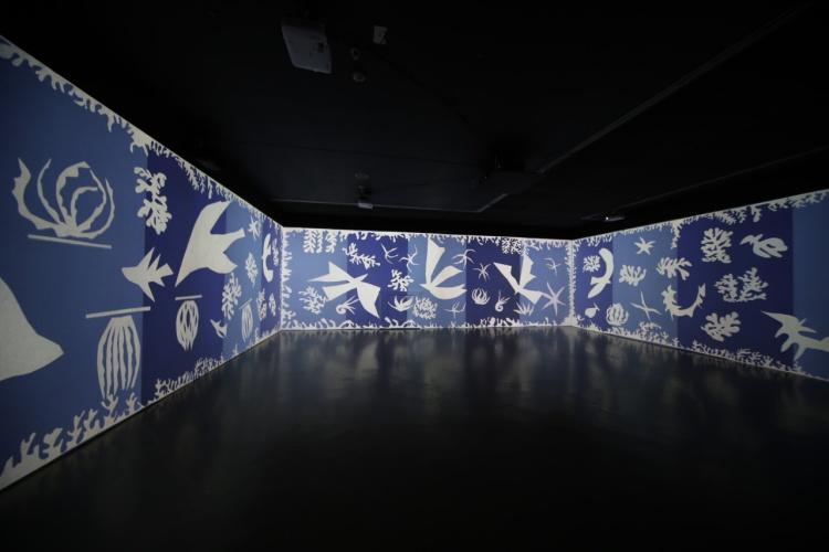 강릉 그대 나의 뮤즈 반고흐 to 마티스 입장권