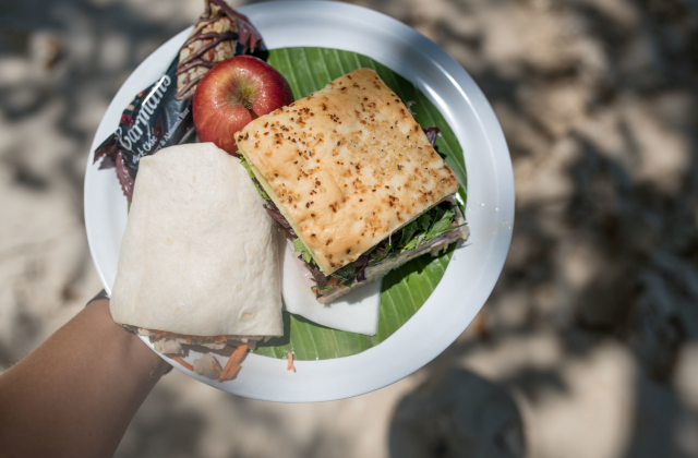 케언즈 지상낙원 피츠로이섬 일일 투어