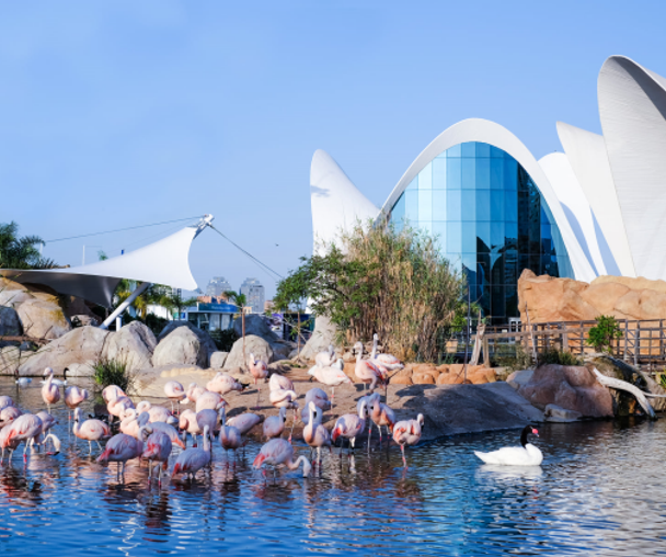 activity_detail_image