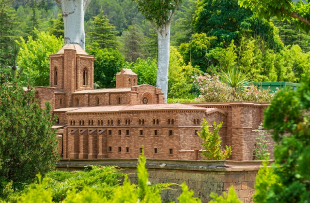 activity_detail_image