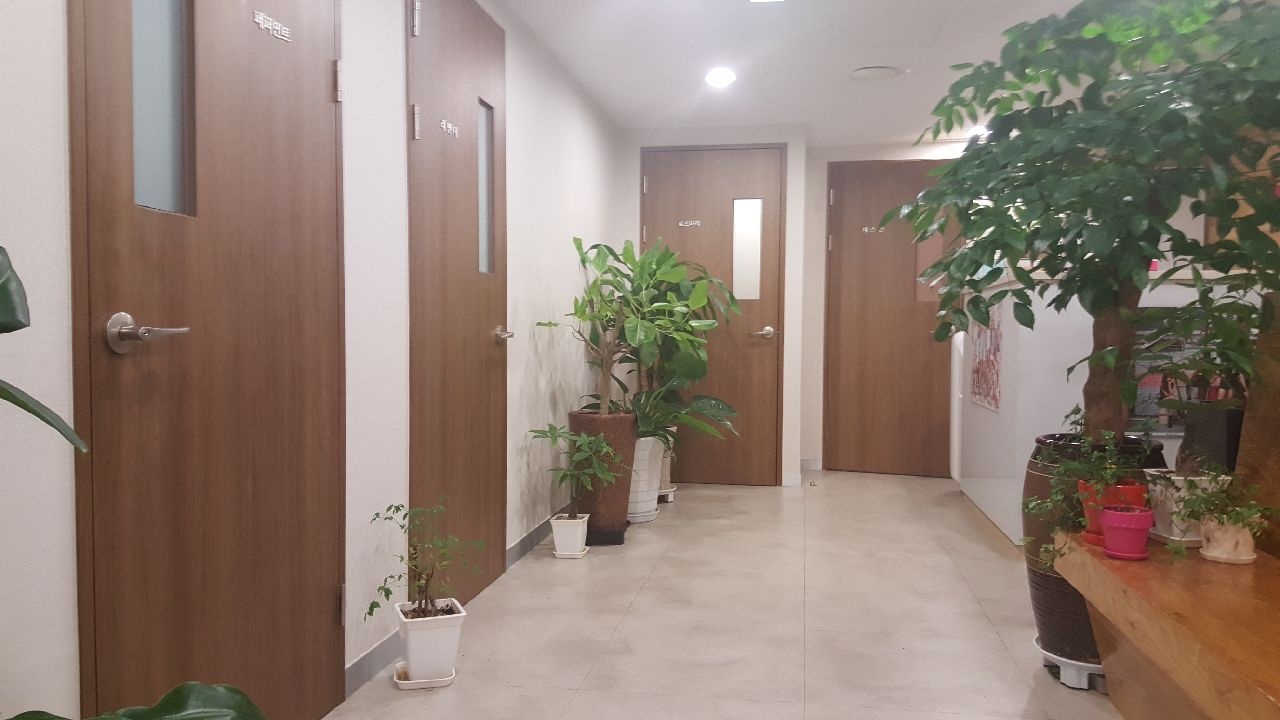 서울 강남 IZM 테라피